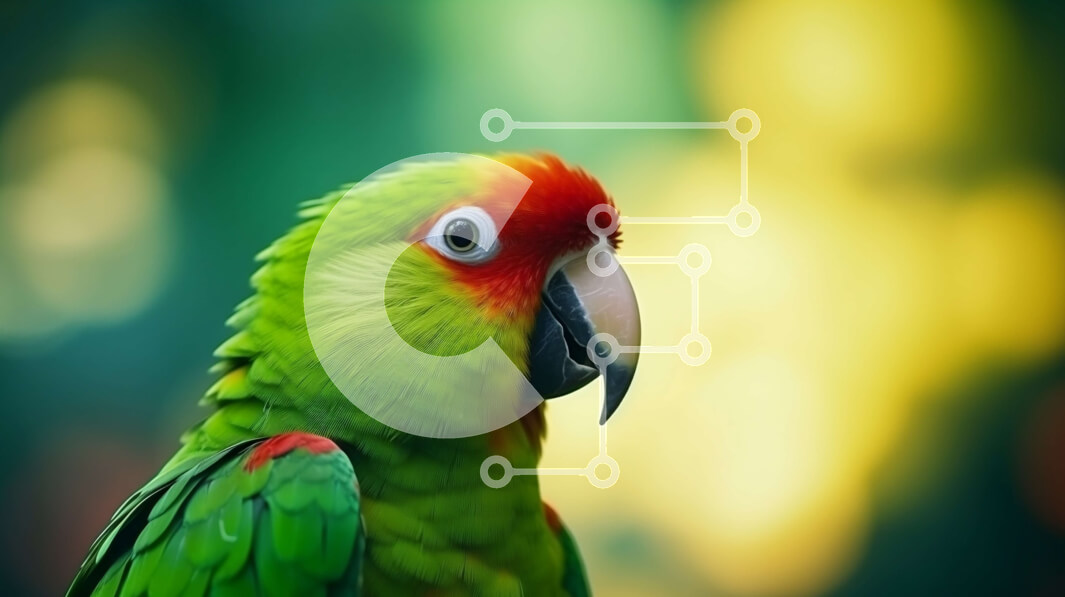 Intra Συλλεκτικό Ξύλινο Παζλ Plywood  4mm - Πολύχρωμος παπαγάλος Σε Ξύλινο Κουτί - Διαστάσεις: 10x10 cm – 25 κομμάτια