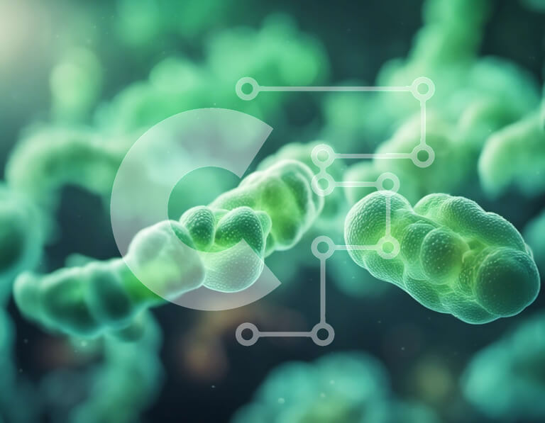 Intra Συλλεκτικό Ξύλινο Παζλ Plywood  4mm - Κοντινή όψη μικρών πράσινων οργανισμών σε διαυγές υγρό Σε Ξύλινο Κουτί - Διαστάσεις Puzzle: 10x10 cm – 25 κομμάτια