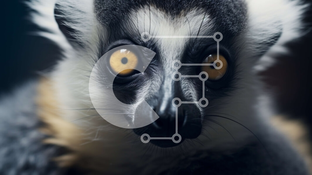 Intra Συλλεκτικό Ξύλινο Παζλ Plywood  4mm - Κοντινή όψη του προσώπου του Λεμούριου Σε Ξύλινο Κουτί - Διαστάσεις: 10x10 cm – 25 κομμάτια