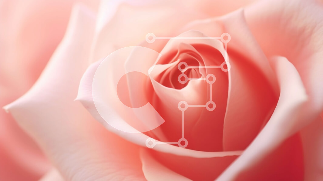 Intra Συλλεκτικό Ξύλινο Παζλ Plywood  4mm - Κοντινό πλάνο του ανθισμένου ροζ τριαντάφυλλου Σε Ξύλινο Κουτί - Διαστάσεις: 10x10 cm – 25 κομμάτια