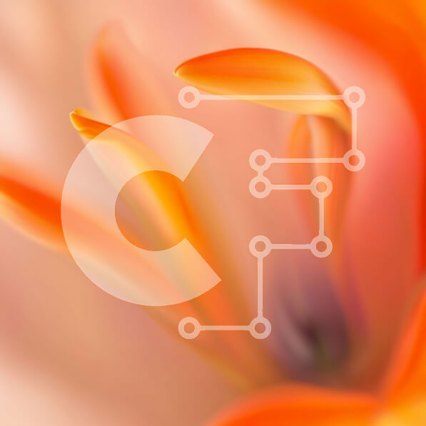 2imCX3c6HbtEiLaZ8uSwI5INWXQ-desktop