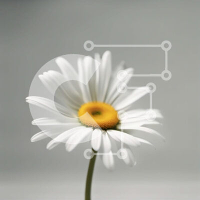 Intra Συλλεκτικό Ξύλινο Παζλ Plywood 4mm - Όμορφη εικόνα μιας λευκής μαργαρίτας με κίτρινο κέντρο και πράσινα φύλλα Σε Ξύλινο Κουτί - Διαστάσεις: 10x10 cm – 25 κομμάτια - Image 1