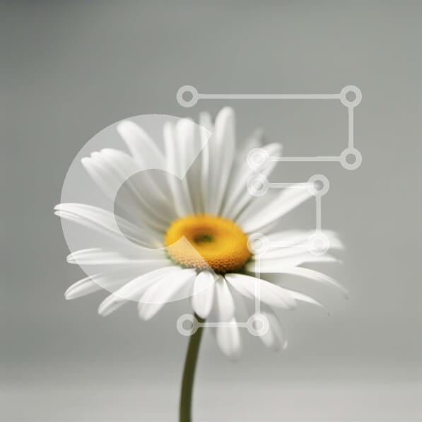 2imCXlwbnktcOcmwJ4NXwMx4z6B-desktop