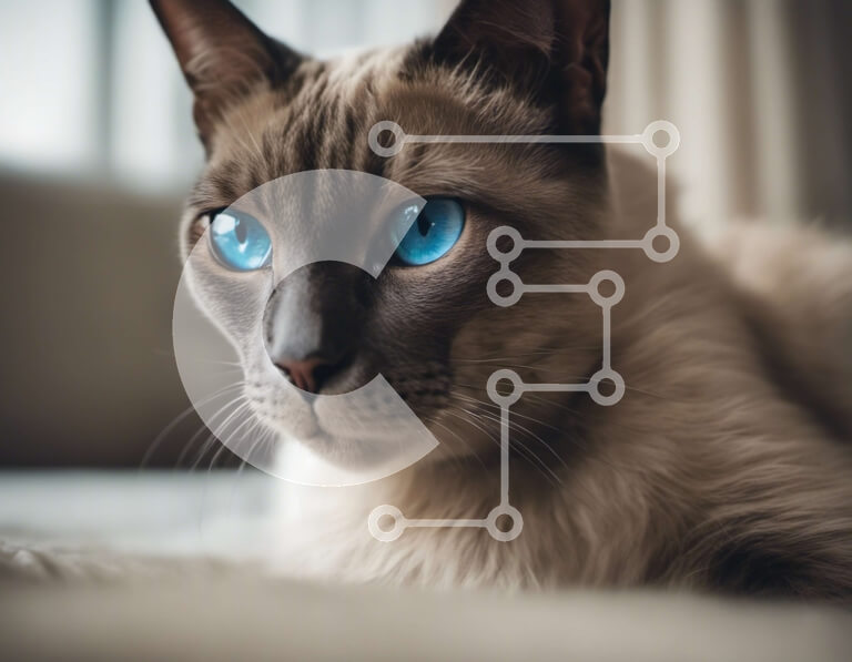 Intra Συλλεκτικό Ξύλινο Παζλ Plywood  4mm - Κοντινό πλάνο σιαμέζας γάτας με μπλε μάτια Σε Ξύλινο Κουτί - Διαστάσεις: 10x10 cm – 25 κομμάτια