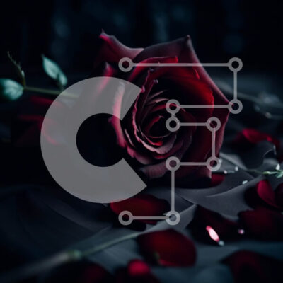 Intra Συλλεκτικό Ξύλινο Παζλ Plywood  4mm - Όμορφη εικόνα κόκκινου τριαντάφυλλου με σταγονίδια νερού σε μαύρο φόντο Σε Ξύλινο Κουτί - Διαστάσεις: 10x10 cm – 25 κομμάτια - Image 1