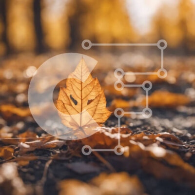 Intra Συλλεκτικό Ξύλινο Παζλ Plywood  4mm - Μονό κίτρινο φύλλο στο δάσος Σε Ξύλινο Κουτί - Διαστάσεις: 10x10 cm – 25 κομμάτια - Image 1