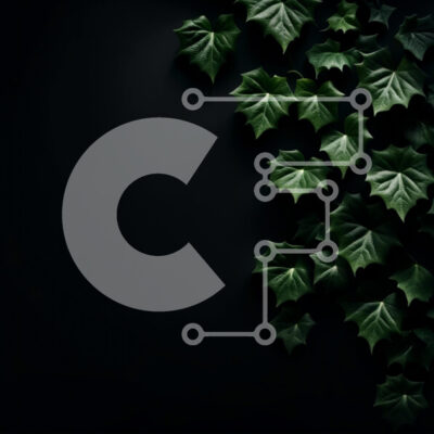 Intra Συλλεκτικό Ξύλινο Παζλ Plywood  4mm - Όμορφη κινηματογράφηση σε πρώτο πλάνο φυλλώδους φυτού σε σκοτεινό φόντο Σε Ξύλινο Κουτί - Διαστάσεις: 10x10 cm – 25 κομμάτια - Image 1