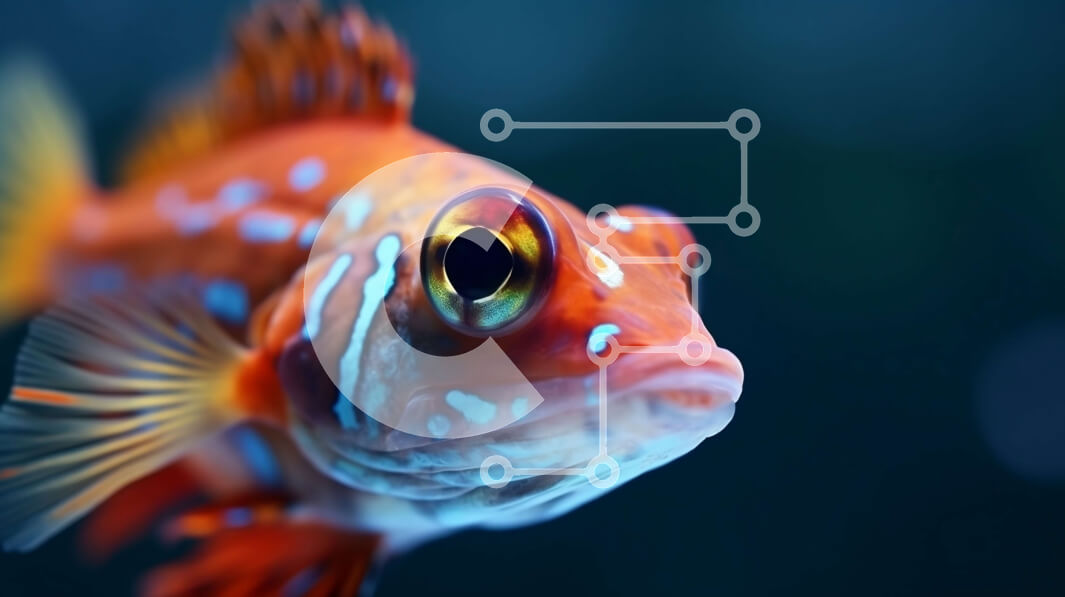 Intra Συλλεκτικό Ξύλινο Παζλ Plywood  4mm - Κόκκινο ψάρι με μπλε κηλίδες που κολυμπούν σε σκοτεινό περιβάλλον Σε Ξύλινο Κουτί - Διαστάσεις: 10x10 cm – 25 κομμάτια