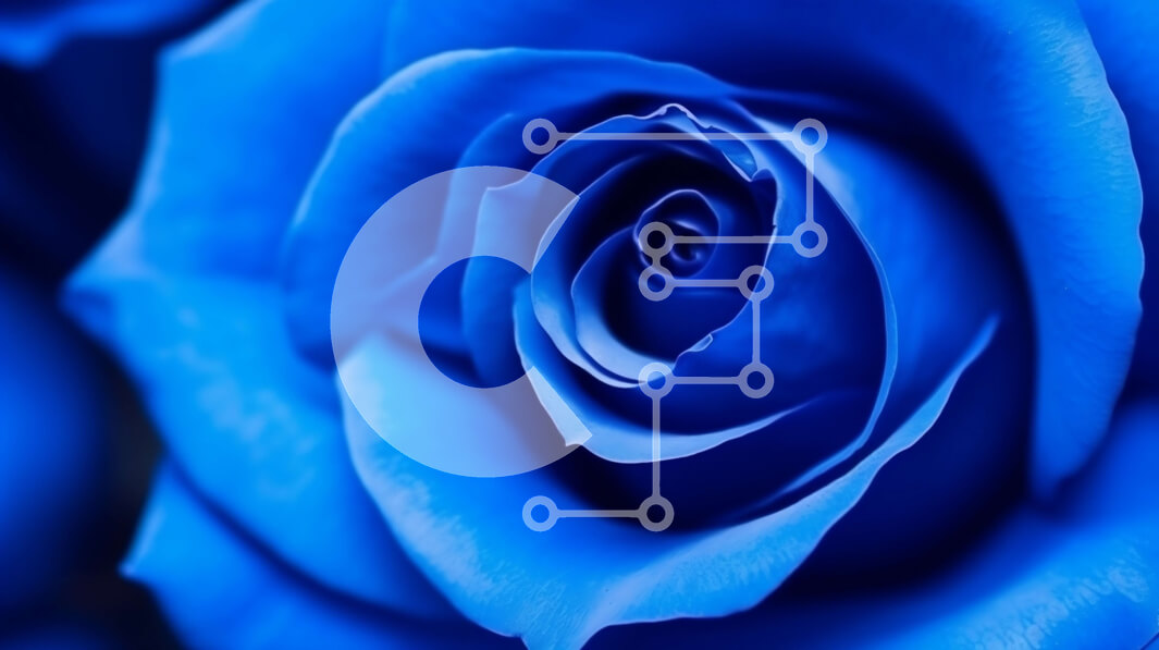 Intra Συλλεκτικό Ξύλινο Παζλ Plywood  4mm - Όμορφο μπλε τριαντάφυλλο κινηματογράφηση σε πρώτο πλάνο Σε Ξύλινο Κουτί - Διαστάσεις: 10x10 cm – 25 κομμάτια