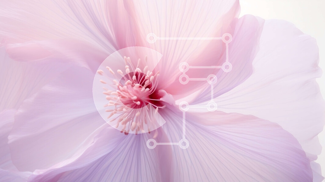 Intra Συλλεκτικό Ξύλινο Παζλ Plywood  4mm - Κοντινό πλάνο του ροζ λουλουδιού με τα όμορφα πέταλα Σε Ξύλινο Κουτί - Διαστάσεις: 10x10 cm – 25 κομμάτια