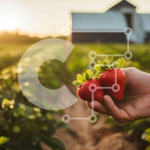 Intra Συλλεκτικό Ξύλινο Παζλ Plywood  4mm - Χέρι που κρατά φρέσκες φράουλες σε ένα γεωργικό χωράφι Σε Ξύλινο Κουτί - Διαστάσεις: 10x10 cm – 25 κομμάτια