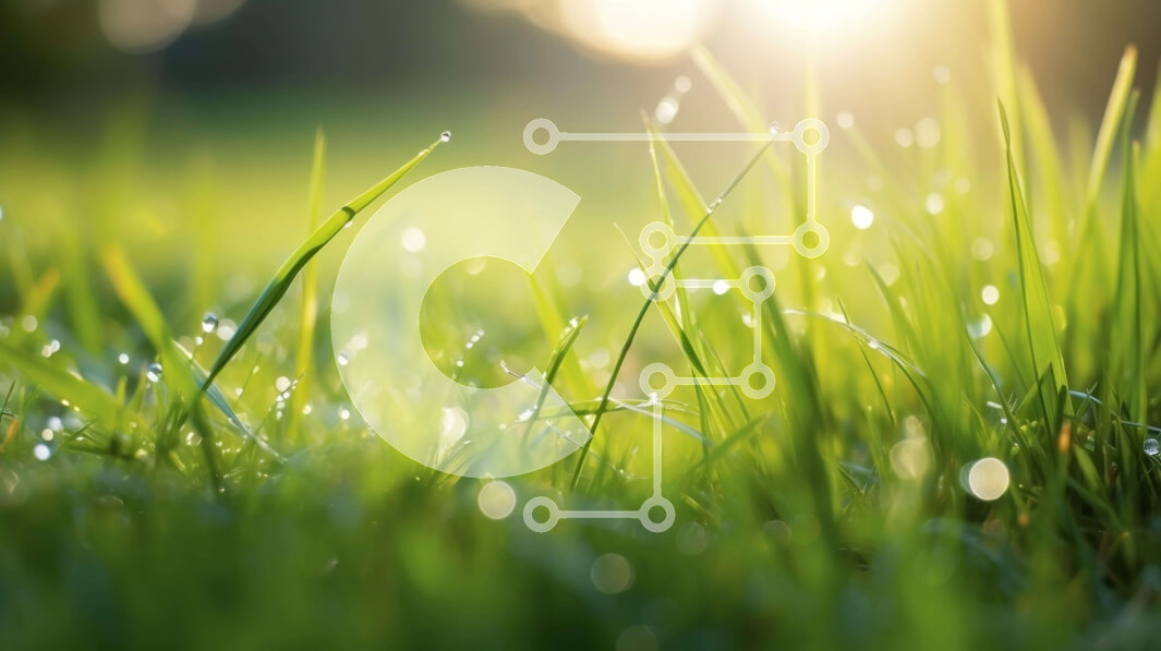 Intra Συλλεκτικό Ξύλινο Παζλ Plywood  4mm - Κοντινό πλάνο του φρεσκοκομμένου πράσινου γρασιδιού με σταγονίδια νερού Σε Ξύλινο Κουτί - Διαστάσεις: 10x10 cm – 25 κομμάτια