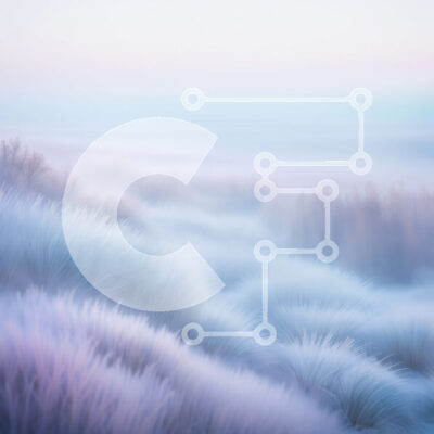 Intra Συλλεκτικό Ξύλινο Παζλ Plywood 4mm - Όμορφη εικόνα ενός χωραφιού με ψηλό λευκό γρασίδι στο ηλιοβασίλεμα Σε Ξύλινο Κουτί - Διαστάσεις: 10x10 cm – 25 κομμάτια - Image 1