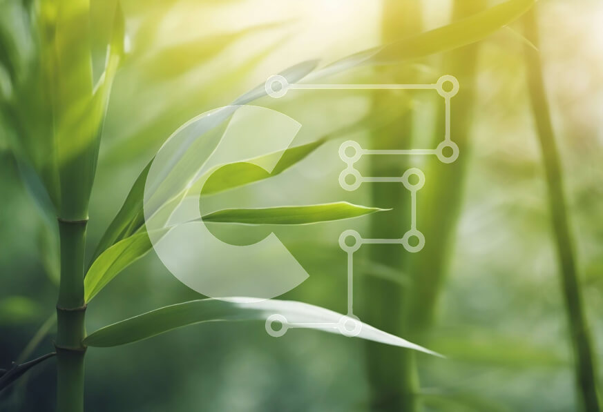 Intra Συλλεκτικό Ξύλινο Παζλ Plywood  4mm - Κοντινή όψη του φυτού μπαμπού με θολό πράσινο φόντο Σε Ξύλινο Κουτί - Διαστάσεις: 10x10 cm – 25 κομμάτια