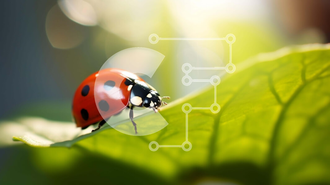 Intra Συλλεκτικό Ξύλινο Παζλ Plywood  4mm - Πασχαλίτσα στο πράσινο φύλλο στο φως του ήλιου Σε Ξύλινο Κουτί - Διαστάσεις: 10x10 cm – 25 κομμάτια