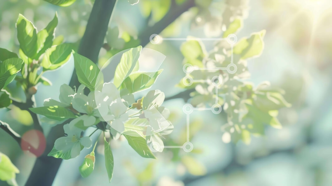 Intra Συλλεκτικό Ξύλινο Παζλ Plywood  4mm - Ανοιξιάτικο κλαδί δέντρου με λευκά λουλούδια και φως του ήλιου Σε Ξύλινο Κουτί - Διαστάσεις: 10x10 cm – 25 κομμάτια