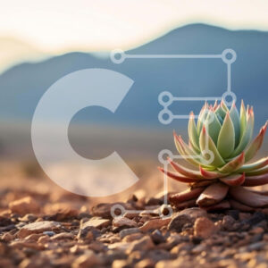 Intra Συλλεκτικό Ξύλινο Παζλ Plywood  4mm - Φυτό Aloe Vera σε ερημικό τοπίο Σε Ξύλινο Κουτί - Διαστάσεις: 10x10 cm – 25 κομμάτια