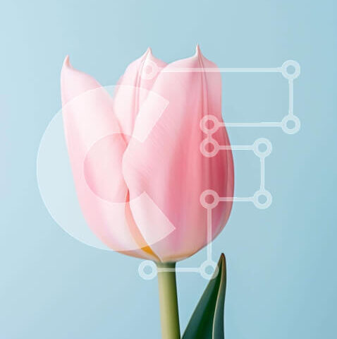 Intra Συλλεκτικό Ξύλινο Παζλ Plywood  4mm - Μονό ροζ λουλούδι τουλίπας σε βάζο με πράσινα φύλλα Σε Ξύλινο Κουτί - Διαστάσεις: 10x10 cm – 25 κομμάτια - Image 1