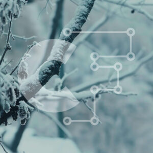 Intra Συλλεκτικό Ξύλινο Παζλ Plywood  4mm - Χιονισμένο κλαδί δέντρου στο χειμερινό δάσος Σε Ξύλινο Κουτί - Διαστάσεις: 10x10 cm – 25 κομμάτια