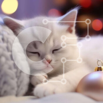 Intra Συλλεκτικό Ξύλινο Παζλ Plywood  4mm - Γατάκι ύπνου σε μια διακοσμημένη διακοσμητική μπάλα Σε Ξύλινο Κουτί - Διαστάσεις Puzzle: 10x10 cm – 25 κομμάτια - Image 1