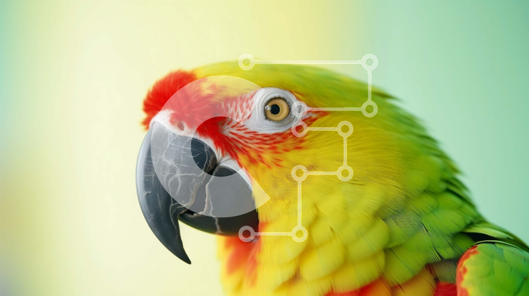 Intra Συλλεκτικό Ξύλινο Παζλ Plywood  4mm - Πολύχρωμος παπαγάλος σε πορτοκαλί φόντο Σε Ξύλινο Κουτί - Διαστάσεις: 10x10 cm – 25 κομμάτια