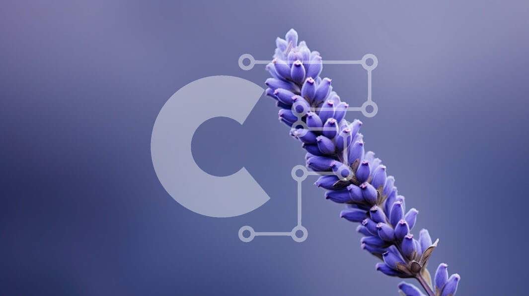 Intra Συλλεκτικό Ξύλινο Παζλ Plywood  4mm - Κοντινό πλάνο ενός ενιαίου μωβ στελέχους λουλουδιών Σε Ξύλινο Κουτί - Διαστάσεις: 10x10 cm – 25 κομμάτια