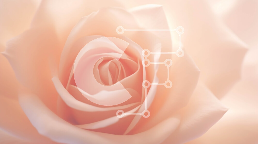 Intra Συλλεκτικό Ξύλινο Παζλ Plywood  4mm - Κοντινό πλάνο ενός ροζ τριαντάφυλλου Σε Ξύλινο Κουτί - Διαστάσεις: 10x10 cm – 25 κομμάτια