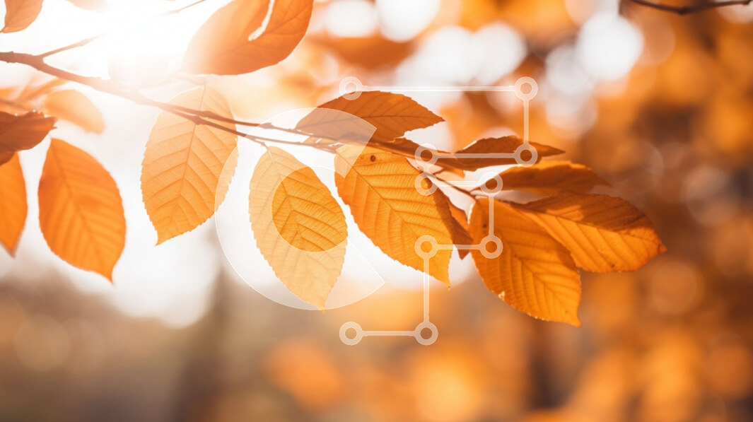 Intra Συλλεκτικό Ξύλινο Παζλ Plywood  4mm - Φθινοπωρινό κλαδί δέντρου με πορτοκαλί φύλλα και φως του ήλιου Σε Ξύλινο Κουτί - Διαστάσεις: 10x10 cm – 25 κομμάτια