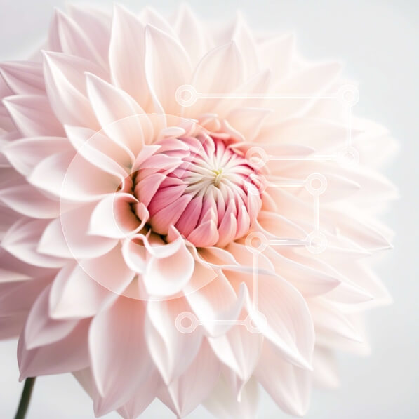 2imDxyJ3gSklN8Rd4TuVc8Qmmps-desktop