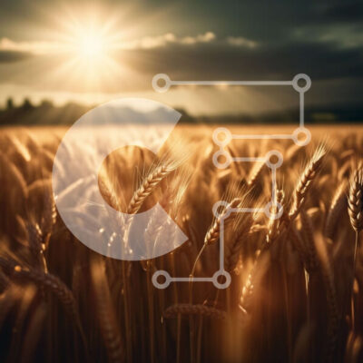 Intra Συλλεκτικό Ξύλινο Παζλ Plywood 4mm - Όμορφη εικόνα ενός χωραφιού με ώριμο σιτάρι στο ηλιοβασίλεμα Σε Ξύλινο Κουτί - Διαστάσεις: 10x10 cm – 25 κομμάτια - Image 1