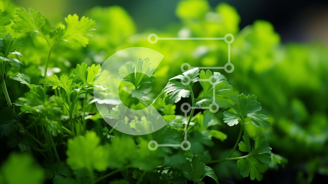 Intra Συλλεκτικό Ξύλινο Παζλ Plywood  4mm - Κοντινή όψη των πράσινων βοτάνων σε έναν κήπο Σε Ξύλινο Κουτί - Διαστάσεις: 10x10 cm – 25 κομμάτια