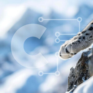 Intra Συλλεκτικό Ξύλινο Παζλ Plywood  4mm - Snow Leopard's Paw in the Snow Σε Ξύλινο Κουτί - Διαστάσεις: 10x10 cm – 25 κομμάτια