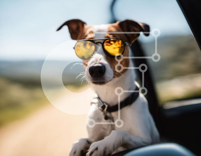 Intra Συλλεκτικό Ξύλινο Παζλ Plywood  4mm - Καφέ και λευκό σκυλί που φοράει γυαλιά ηλίου Σε Ξύλινο Κουτί - Διαστάσεις: 10x10 cm – 25 κομμάτια