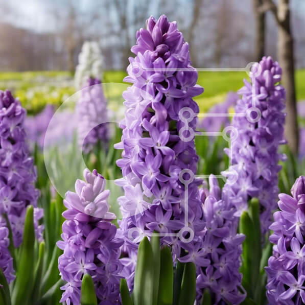 2imERRMhoBMvgANS7Vzf02hj3tD-desktop