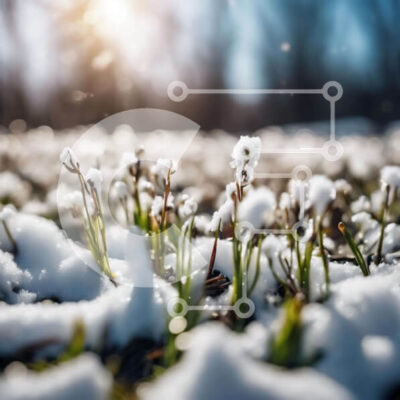 Intra Συλλεκτικό Ξύλινο Παζλ Plywood  4mm - Χιονισμένο χωράφι με γρασίδι και λουλούδια Σε Ξύλινο Κουτί - Διαστάσεις: 10x10 cm – 25 κομμάτια - Image 1