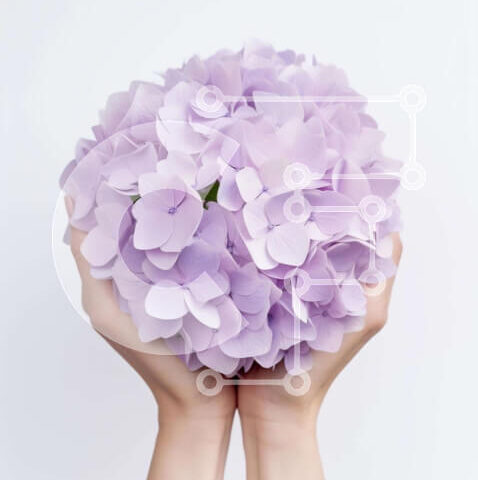 Intra Συλλεκτικό Ξύλινο Παζλ Plywood 4mm - Κομψά χέρια που κρατούν μωβ ανθοδέσμη Σε Ξύλινο Κουτί - Διαστάσεις Puzzle: 10x10 cm – 25 κομμάτια - Image 1