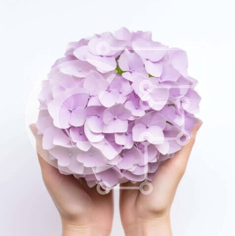 Intra Συλλεκτικό Ξύλινο Παζλ Plywood  4mm - Δύο χέρια που κρατούν ένα πορφυρό λουλούδι Σε Ξύλινο Κουτί - Διαστάσεις Puzzle: 10x10 cm – 25 κομμάτια - Image 1