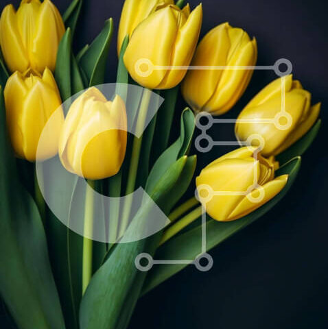 Intra Συλλεκτικό Ξύλινο Παζλ Plywood 4mm - Μπουκέτο με κίτρινες τουλίπες σε ανοιχτό βάζο σε μαύρο φόντο Σε Ξύλινο Κουτί - Διαστάσεις: 10x10 cm – 25 κομμάτια - Image 1