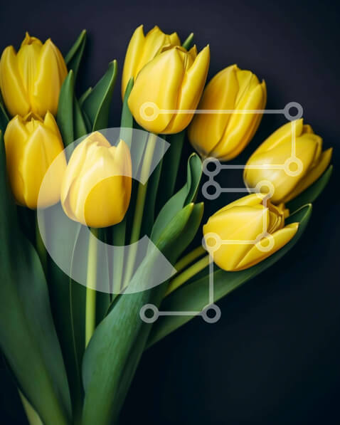 2imEW9e78URNLyZTbpmQErkzGEj-desktop