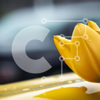 Intra Συλλεκτικό Ξύλινο Παζλ Plywood  4mm - Κίτρινη τουλίπα στο ταμπλό αυτοκινήτου Σε Ξύλινο Κουτί - Διαστάσεις Puzzle: 10x10 cm – 25 κομμάτια - Image 1