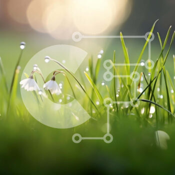 Intra Συλλεκτικό Ξύλινο Παζλ Plywood 4mm - Green Field with Snowdrops: A Sign of Spring Σε Ξύλινο Κουτί - Διαστάσεις: 10x10 cm – 25 κομμάτια - Image 1