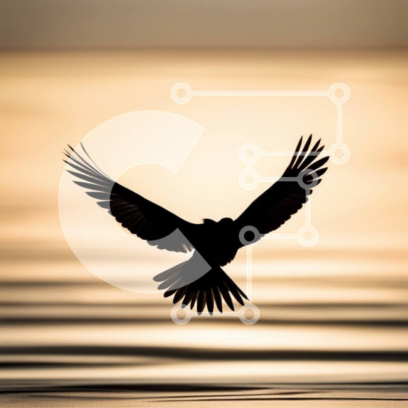 2imEc4i0RvhXTDGcaWNByooqSvQ-desktop