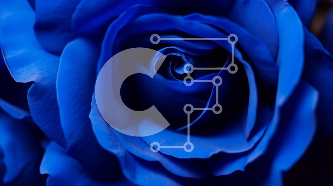 Intra Συλλεκτικό Ξύλινο Παζλ Plywood  4mm - Κοντινό πλάνο ενός μπλε τριαντάφυλλου Σε Ξύλινο Κουτί - Διαστάσεις: 10x10 cm – 25 κομμάτια