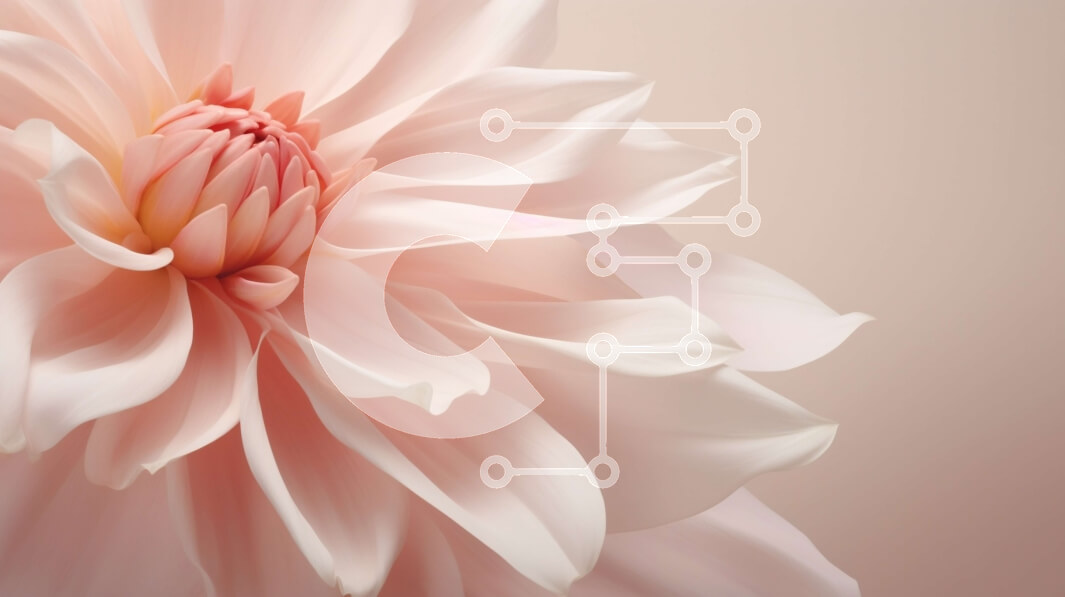 Intra Συλλεκτικό Ξύλινο Παζλ Plywood  4mm - Ροζ λουλούδι Ντάλια σε υπόλευκο φόντο Σε Ξύλινο Κουτί - Διαστάσεις: 10x10 cm – 25 κομμάτια