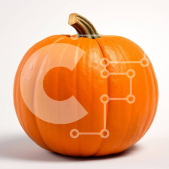 Intra Συλλεκτικό Ξύλινο Παζλ Plywood  4mm - Όμορφη φωτογραφία κολοκύθας Σε Ξύλινο Κουτί - Διαστάσεις Puzzle: 10x10 cm – 25 κομμάτια - Image 1