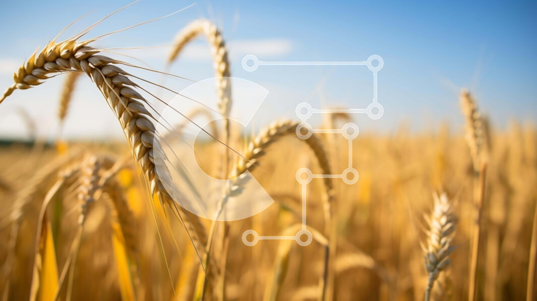 Intra Συλλεκτικό Ξύλινο Παζλ Plywood  4mm - Χρυσό Σιτάρι Έτοιμο για Συγκομιδή Σε Ξύλινο Κουτί - Διαστάσεις: 10x10 cm – 25 κομμάτια