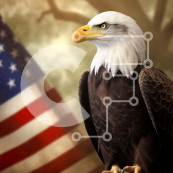 Intra Συλλεκτικό Ξύλινο Παζλ Plywood  4mm - Αμερικανικός φαλακρός αετός σκαρφαλωμένος σε ένα κλαδί με την αμερικανική σημαία Σε Ξύλινο Κουτί - Διαστάσεις: 10x10 cm – 25 κομμάτια - Image 1