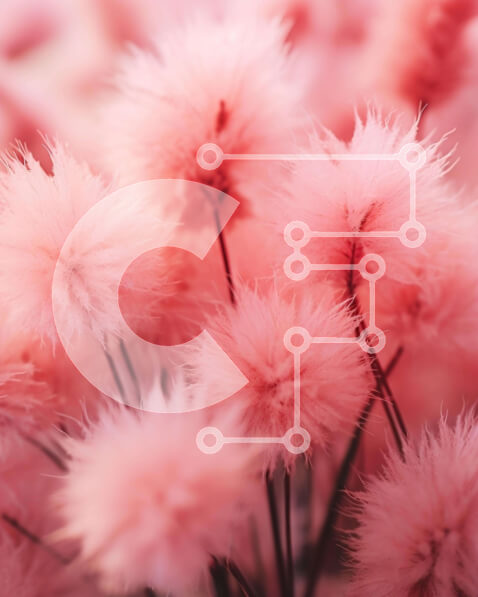 Intra Συλλεκτικό Ξύλινο Παζλ Plywood  4mm - Κοντινό πλάνο με ροζ χνουδωτά λουλούδια Σε Ξύλινο Κουτί - Διαστάσεις: 10x10 cm – 25 κομμάτια