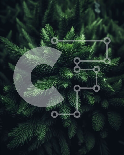 2imEnNcdhfUHTiTRLZLX1Z5rUYn-desktop