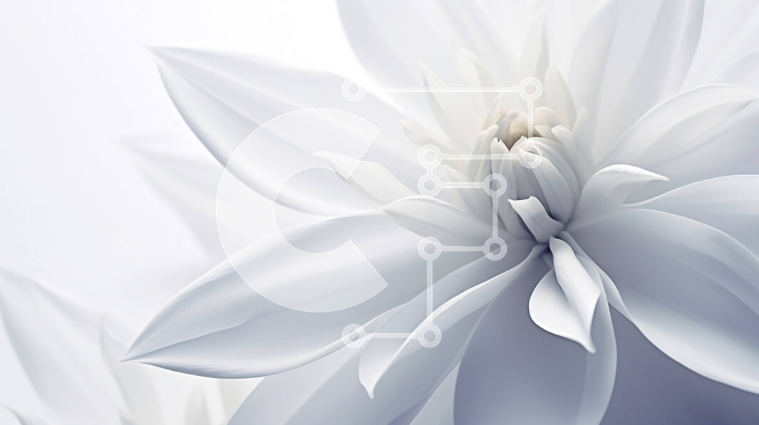 Intra Συλλεκτικό Ξύλινο Παζλ Plywood  4mm - Κοντινό πλάνο δύο λευκών λουλουδιών Σε Ξύλινο Κουτί - Διαστάσεις: 10x10 cm – 25 κομμάτια